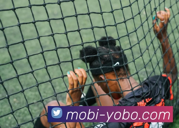 全球热力图